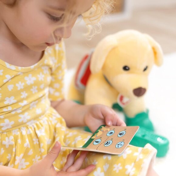 Melissa & Doug Let's Explore Ranger Rescue Dog Pretend Play Set Gear Puppy - Picture 13 of 15